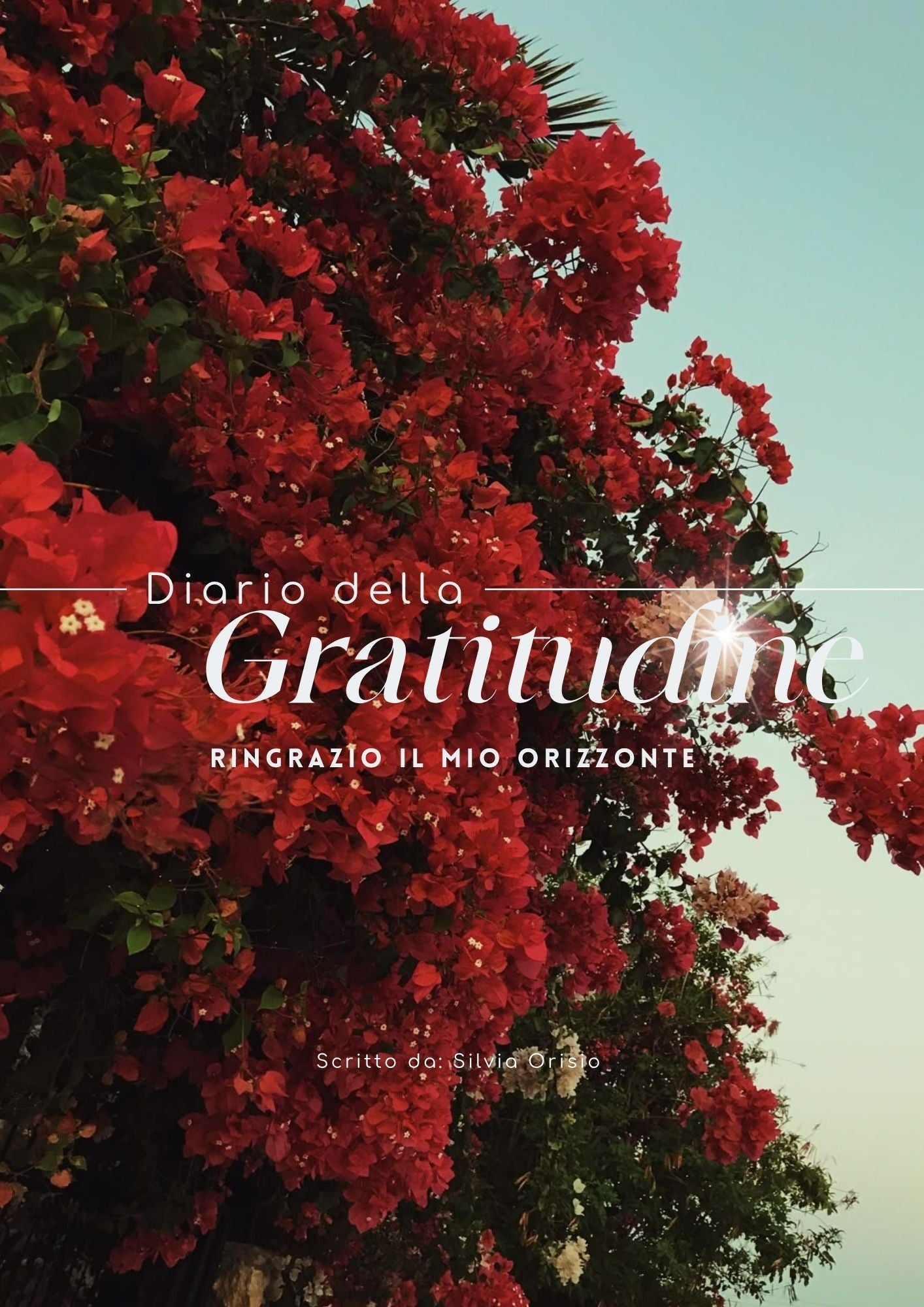 Diario della Gratitudine