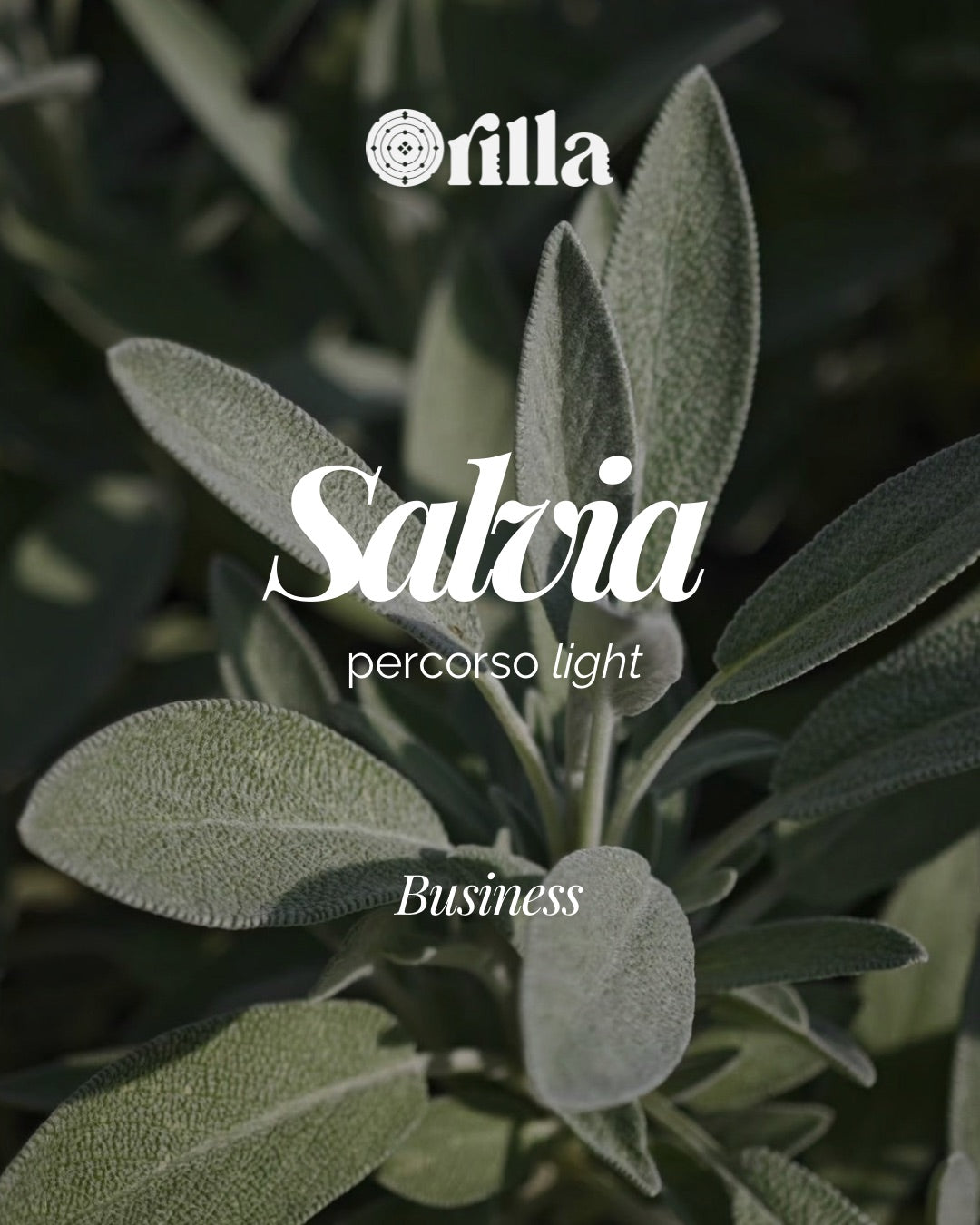 Programma Salvia
