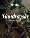 Programma Mandragola