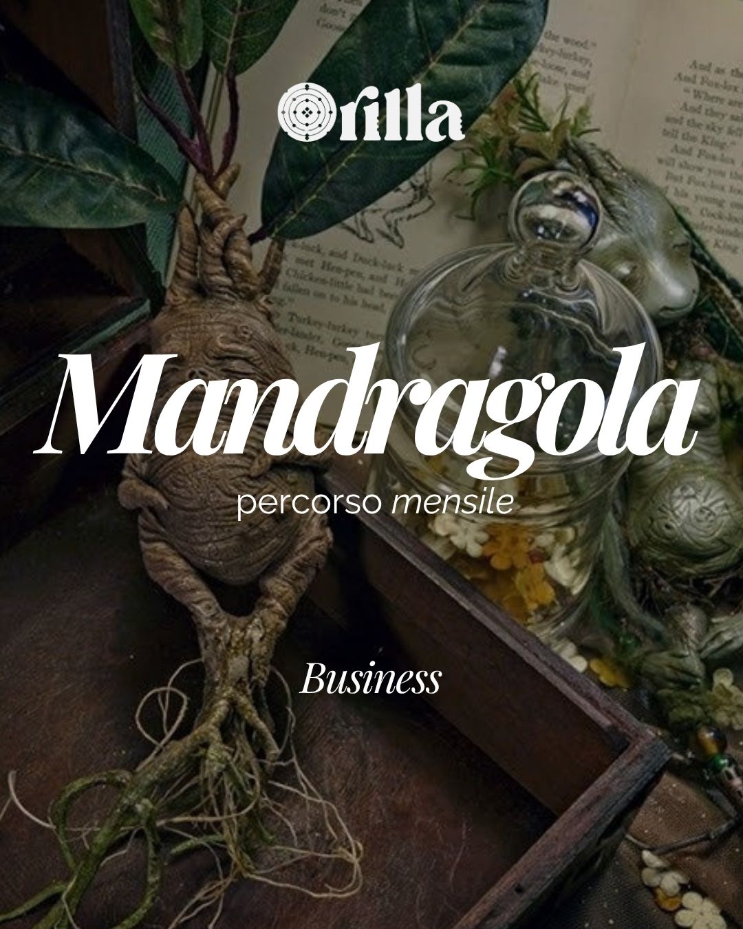 Programma Mandragola