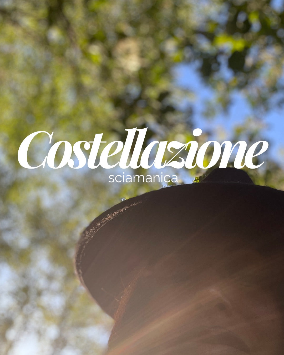 Costellazione Sciamanica